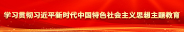 操日本屄学习贯彻习近平新时代中国特色社会主义思想主题教育